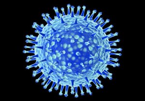 20071003233026-virus-gripe2